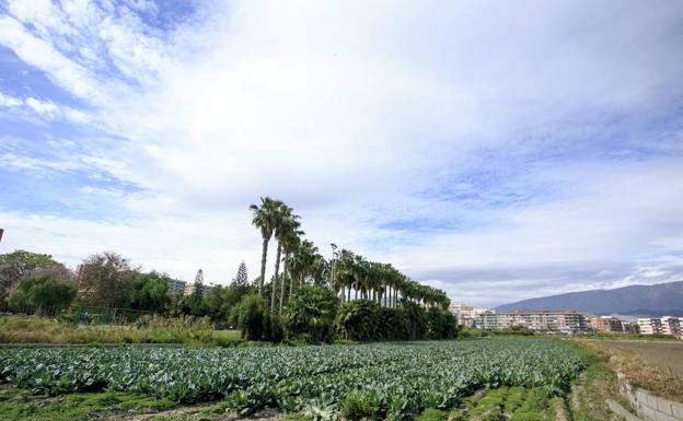 Motril explota 3.000 hectáreas a 200 metros de altura tras 30 años de bloqueo