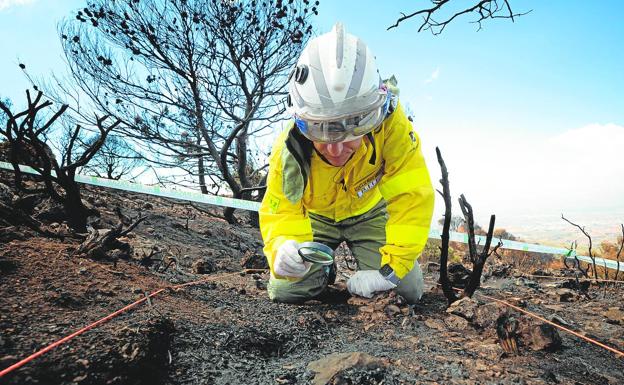 La policía verde en busca de la huella del fuego