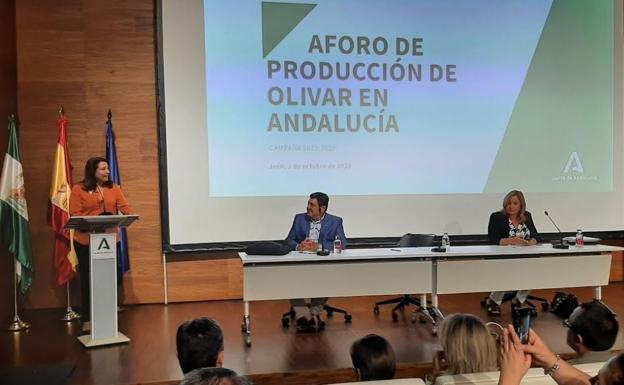 La Junta prevé una campaña de la aceituna «corta» y con un desplome en el aforo del 60%