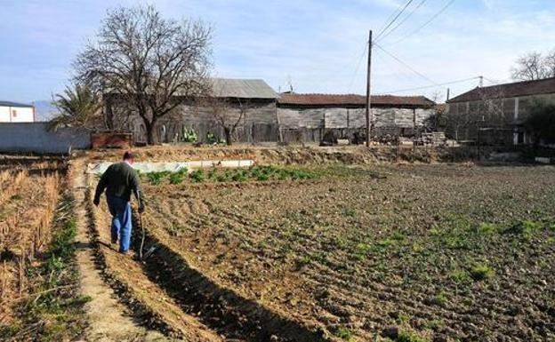 UP reclama una mayor protección de la Vega de Granada