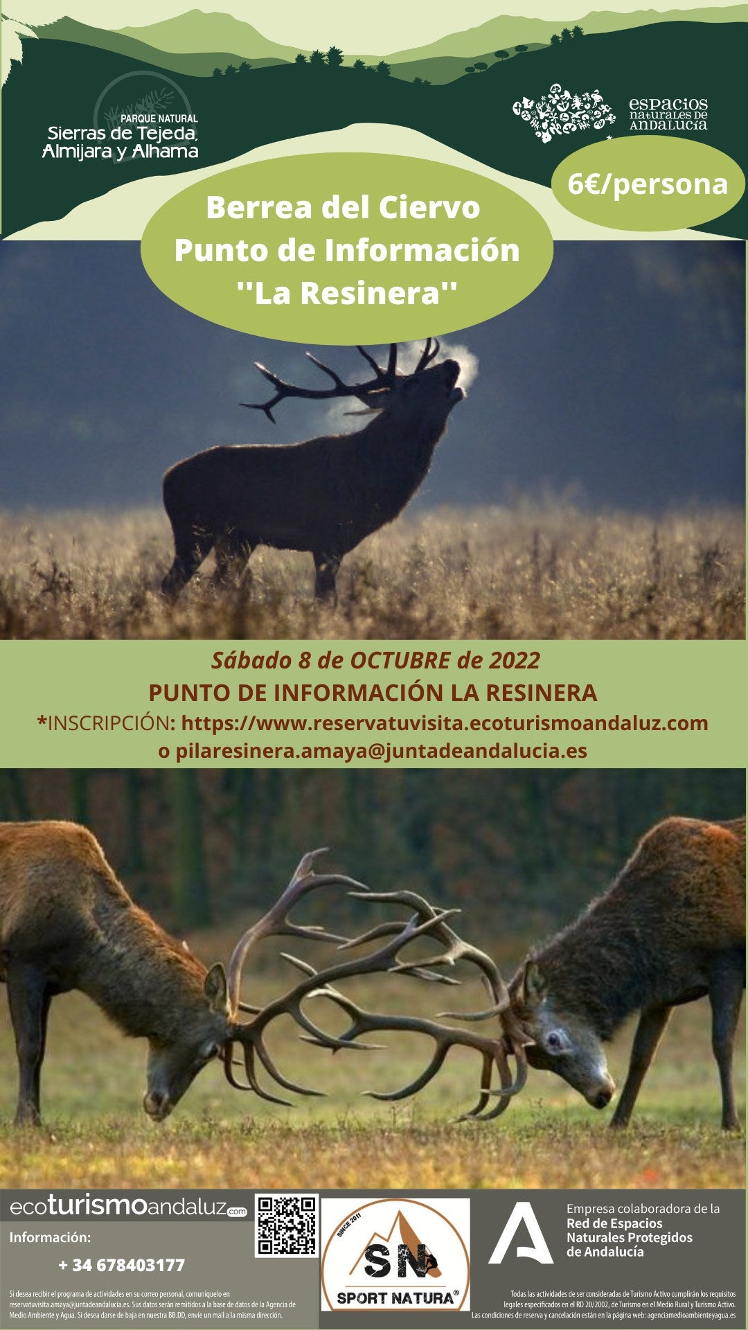 Naturaleza, Food Truck y ballet para disfrutar con niños en Granada