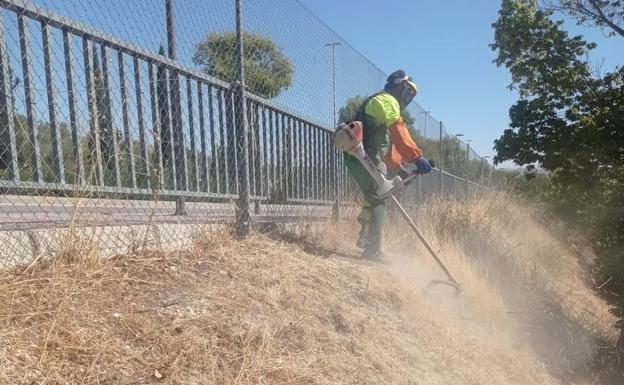 El recinto ferial de Jaén, de punta en blanco para el inicio de la Feria de San Lucas