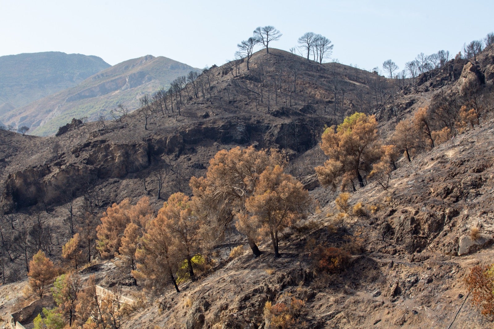 Los Guájares un mes después de que se iniciase el gran incendio