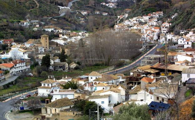 Investigados un anciano y una mujer por cultivar y vender marihuana en Monachil