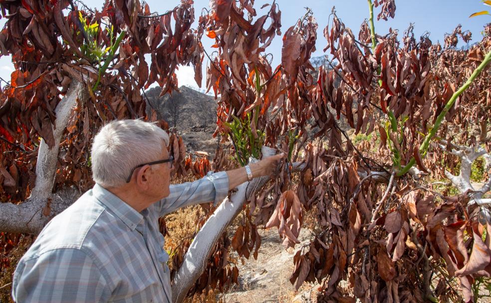 Viaje al centro del infierno de fuego de Los Guájares