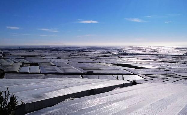 COAG considera positivo elevar los mínimos para reconocer a las OPFH