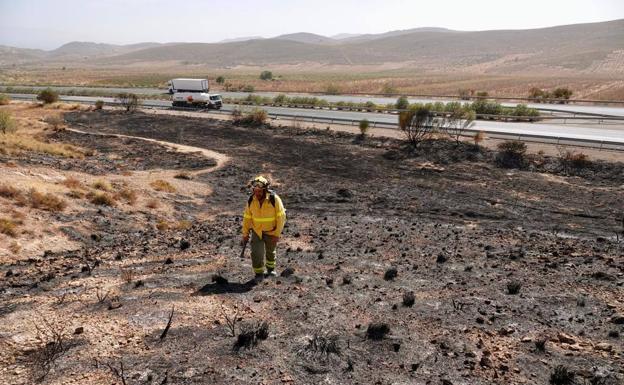 Extinguido el incendio forestal en Padul junto a la autovía