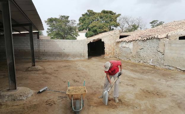 Los criadores piden ayudas para hacer frente a la viruela ovina y caprina