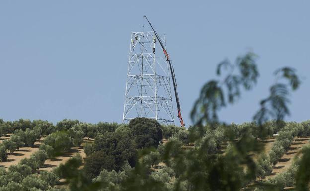 El PSOE destaca la «demanda histórica» cumplida con la 'autopista eléctrica' para el sureste de Jaén