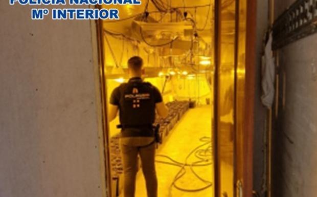 Arrestan a una pareja que tenía lleno de maría un semiremolque en un chalet en Alhendín