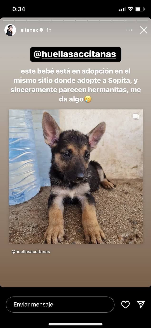 La mascota de Aitana tiene una doble y está en Guadix: «Parecen hermanitas, me da algo»