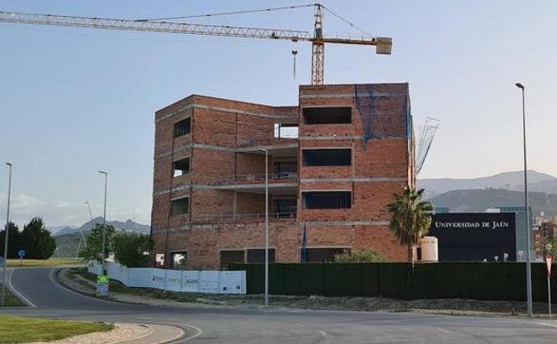 El Centro de Investigación y Transferencia Empresarial de la UJA está al 70% de ejecución