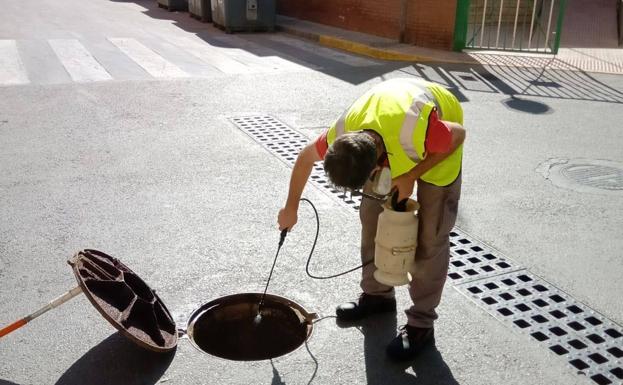 Traconsa controlará las plagas en dependencias municipales y en el alcantarillado de Viator