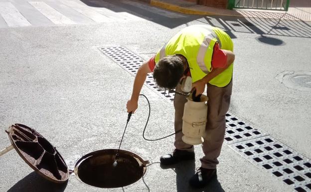 Viator refuerza el control de plagas en dependencias municipales y red de alcantarillado