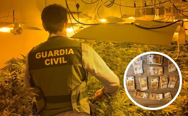 Cae en Pinos Puente un clan criminal que producía y distribuía marihuana y minaba criptomonedas