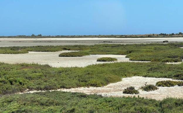 Alguien tiene que morir