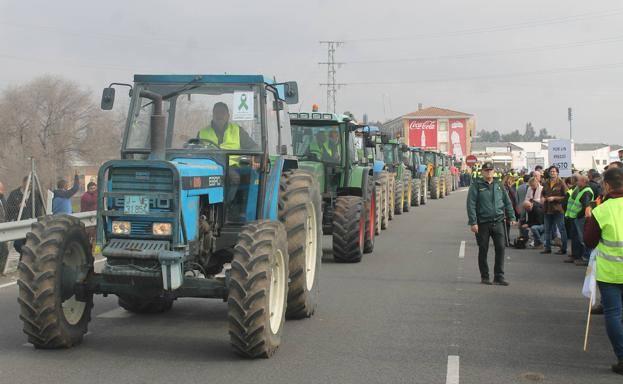 El nuevo paro de los camioneros afectaría también a la aceituna