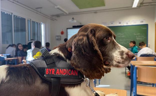 Un perro adiestrado en un instituto de Martos para mejorar el día a día