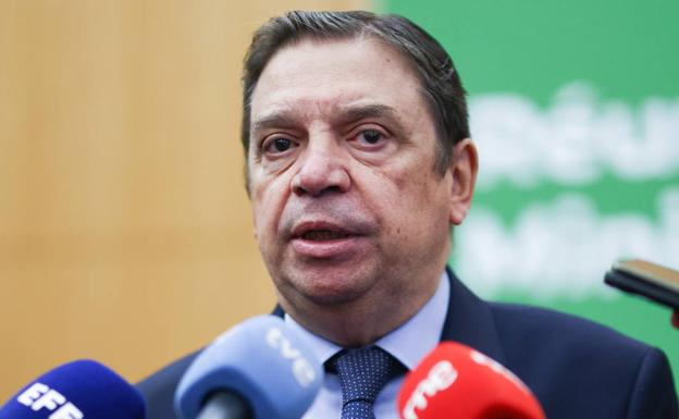 El ministro de Agricultura advierte del peligro de que el aceite de oliva se vuelva un producto «gourmet»