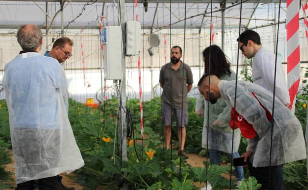 El agro almeriense marca el paso del sector en Europa en la transformación digital