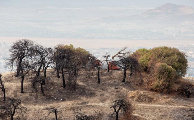 Nuevas acampadas en la zona cero del fuego que arrasó San Miguel Alto