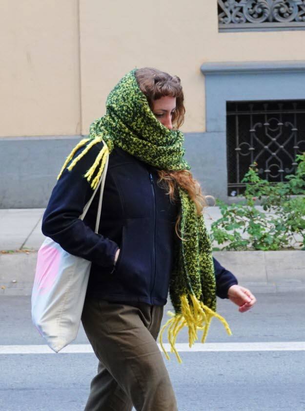 Meteorología desvela las localidades de Andalucía con frío polar las próximas horas