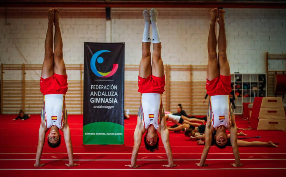 Gimnastas de Granada que dan un salto mundial