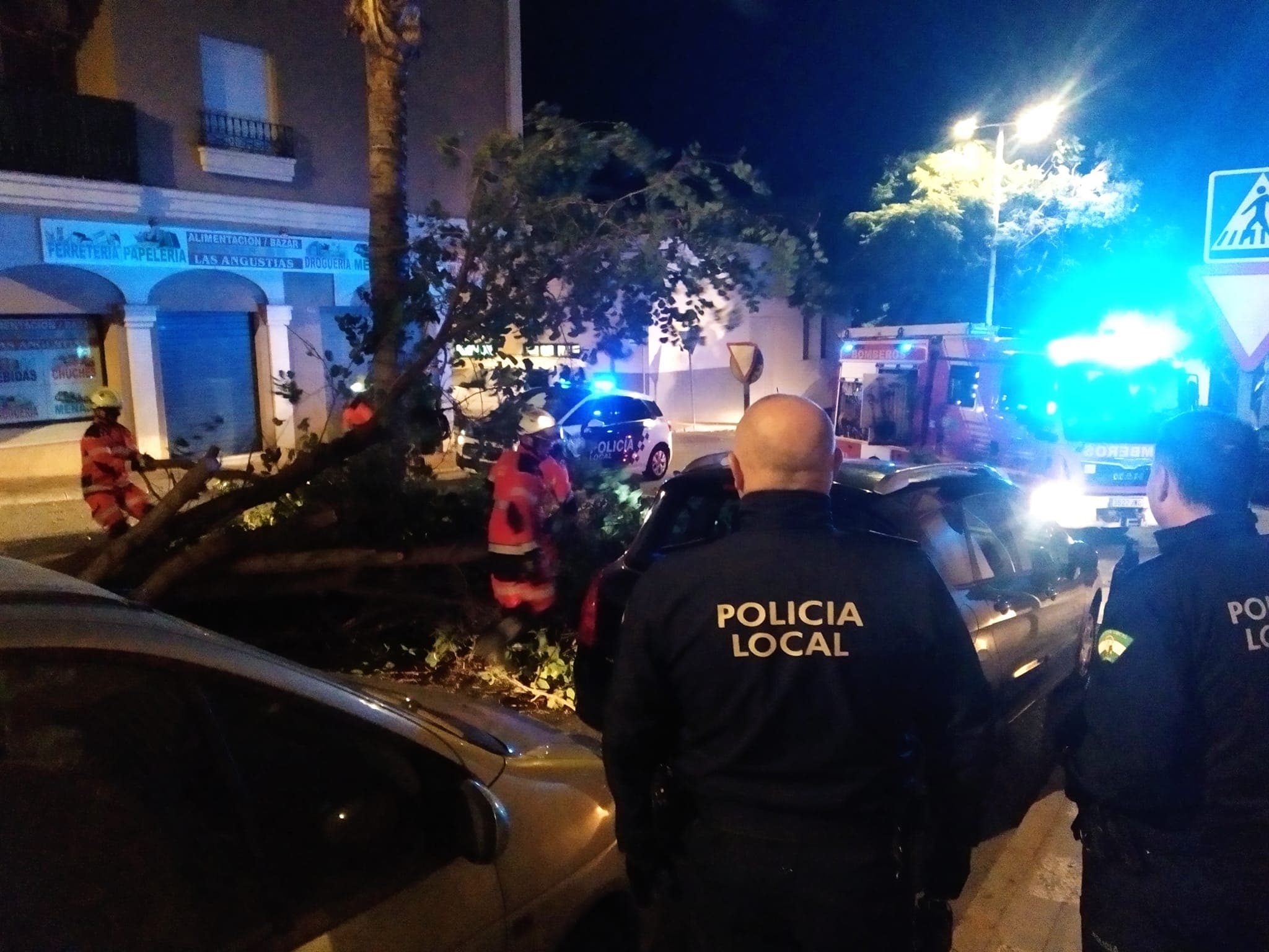 Árboles caídos y placas solares arrancadas por fuerte viento en la provincia de Granada