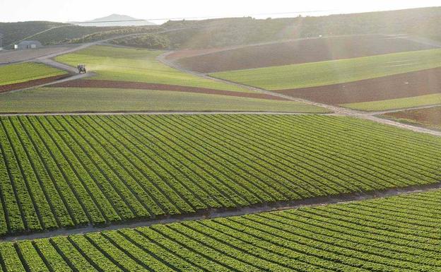 Primaflor se une al proyecto Lean & Green por un futuro más sostenible