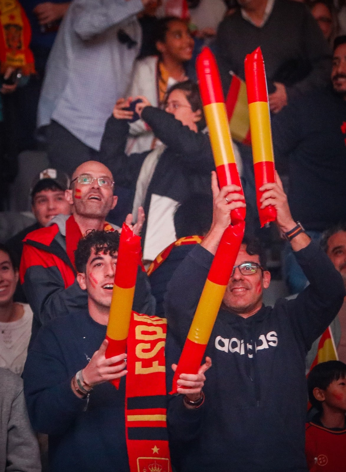 Ilusión en el Palacio de Deportes de Granada con la victoria de España