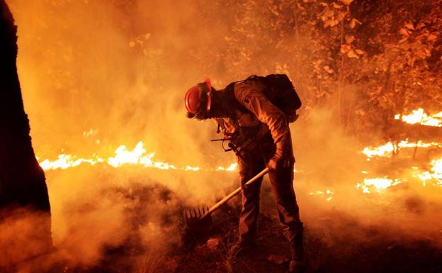 El Seprona investiga a una persona al mes en Almería por incendios forestales