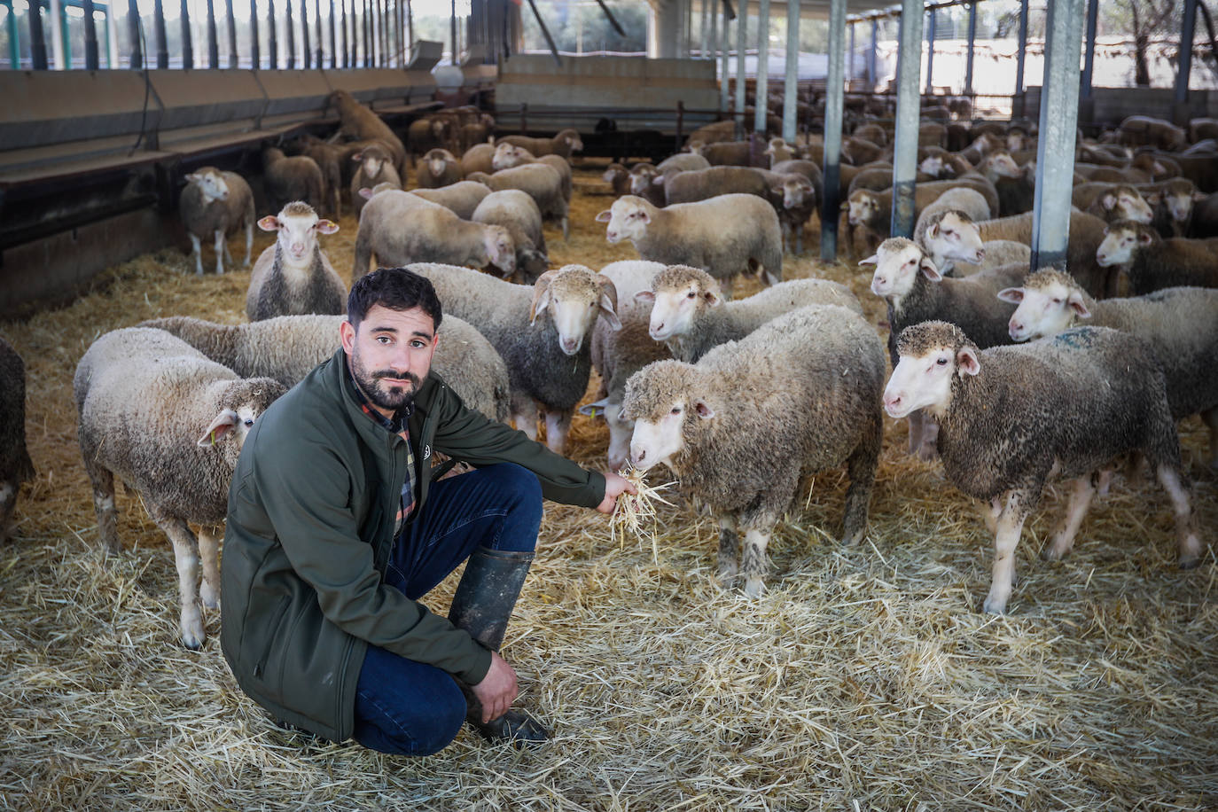 «No pedimos ayudas, solo que nos dejen trabajar ya»