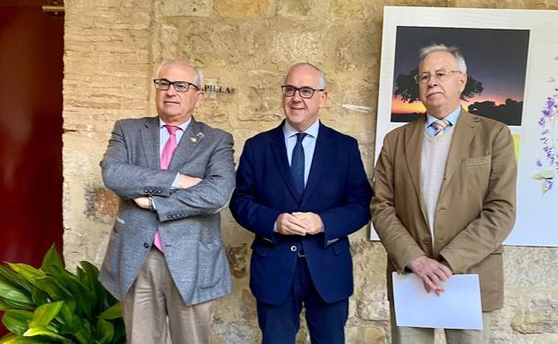 La Junta defiende ante el CES el «carácter transparente» de los presupuestos para Jaén, de más de 390 millones de euros