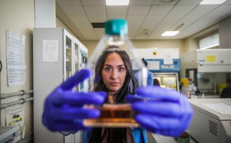 Un instituto que busca los mecanismo que producen las enfermedades