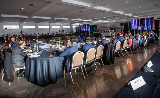 El COI marca la 'hoja de ruta' para un olivar jienense y mundial, rentable y sostenible