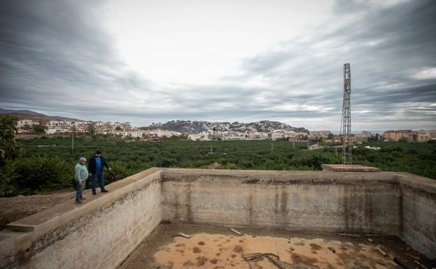 La sequía persistente causa ya las primeras talas en el campo de Almuñécar