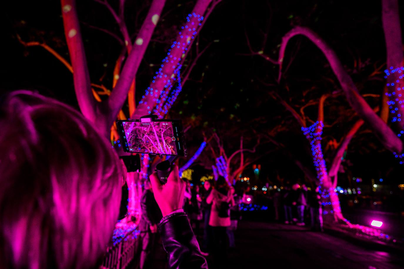 Iluminar la Navidad, al alcance de todo bolsillo