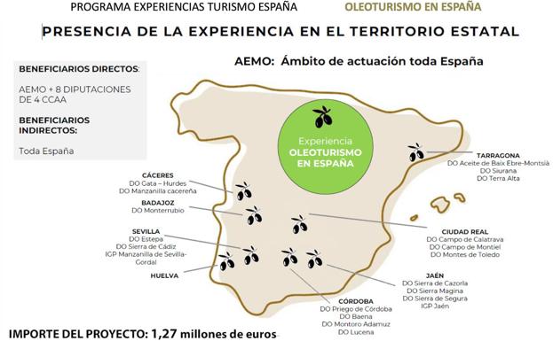Jaén encabeza un proyecto nacional para crear experiencias de oleoturismo 'al estilo de La Rioja o la Ribera del Duero con el vino'