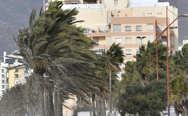 Qué hacer ante el viento: cerrar puertas y ventanas y retirar macetas y muebles de los balcones