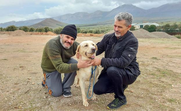 El 'salva animales' de Iznalloz, al rescate de perros y gatos en apuros