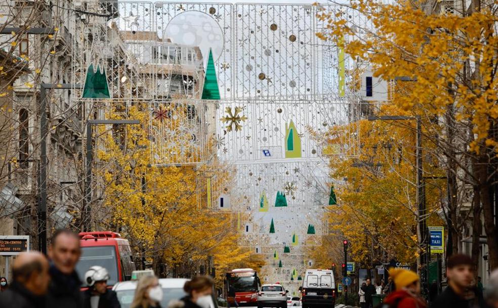 Los árboles ancestrales que dan una imagen espectacular del Centro de Granada