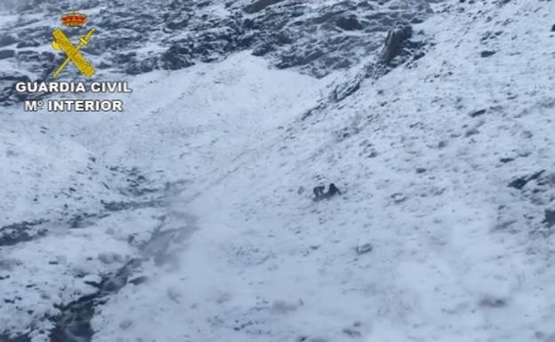 Encuentran muerto a un bielorruso de 22 años en Sierra Nevada, desaparecido desde el domingo