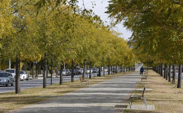 El nuevo cambio de tiempo que llega este fin de semana a Andalucía