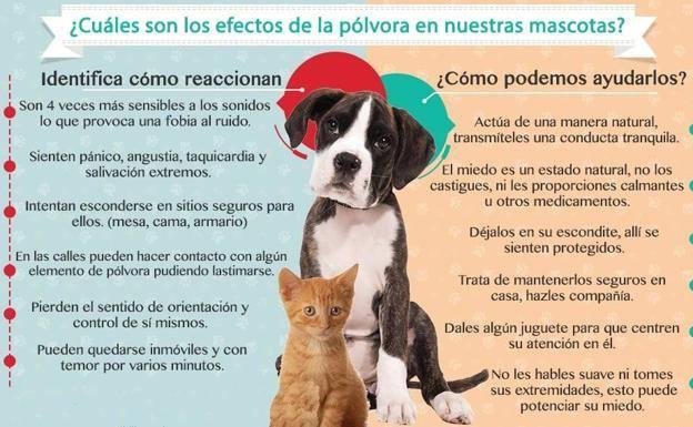 Los petardos se mantienen los días permitidos en Navidad, pese a las quejas