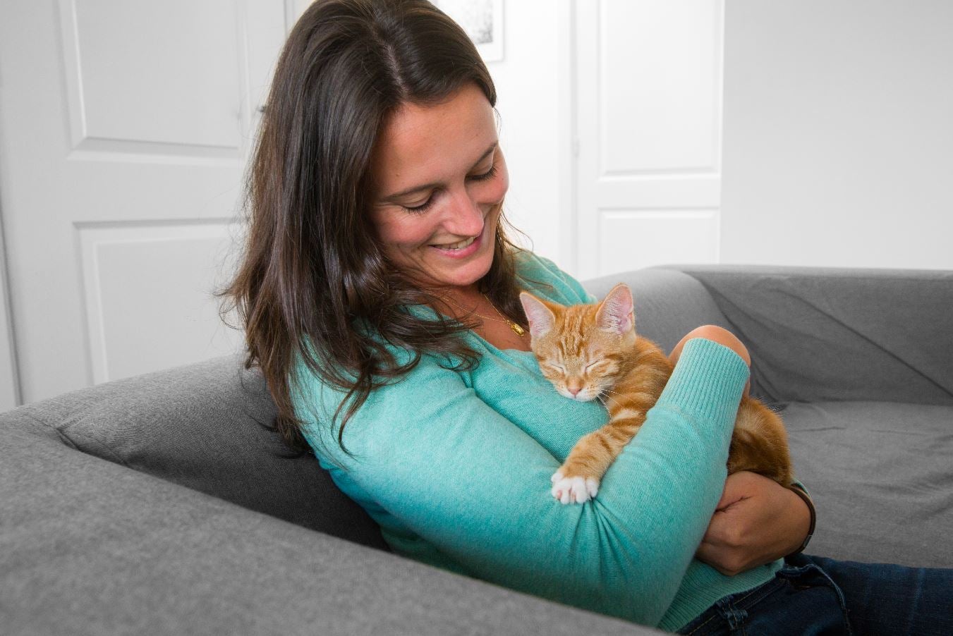 ¿Cómo cuidar de las mascotas en estas Navidades?