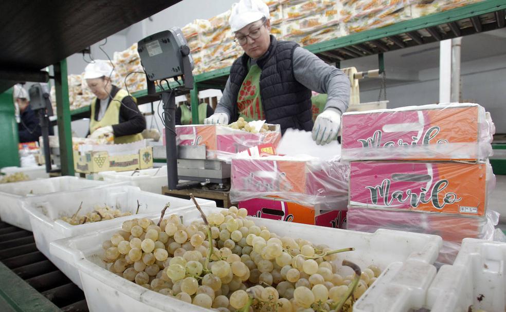 Los hábitos para una Nochevieja sostenible