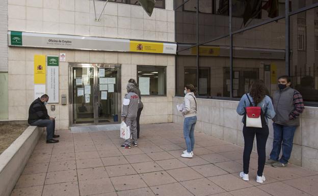 Jaén lidera la caída del paro en toda España gracias a las campañas oleícola y navideña