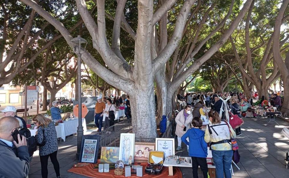 El nuevo resurgir del Parque Nicolás Salmerón