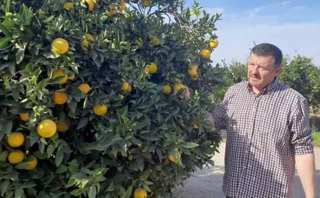 «Esta campaña se aprecia un descenso en la producción en casi toda la provincia»