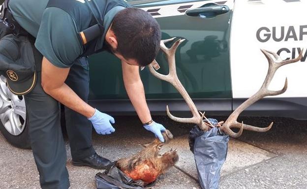 Aumentan las investigaciones por furtivismo en los cotos y montes de la provincia jienense